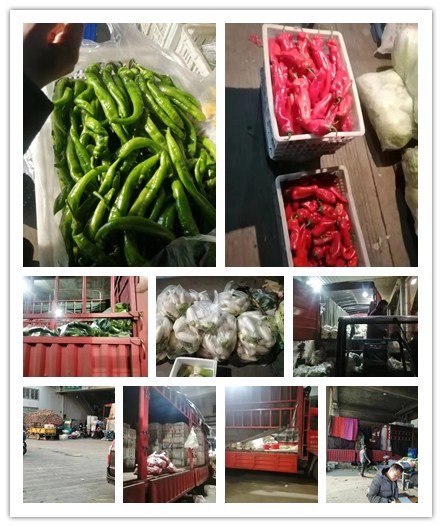 w66.利来(中国区)_来利国际旗舰厅