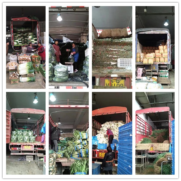 w66.利来(中国区)_来利国际旗舰厅