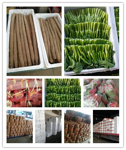 w66.利来(中国区)_来利国际旗舰厅