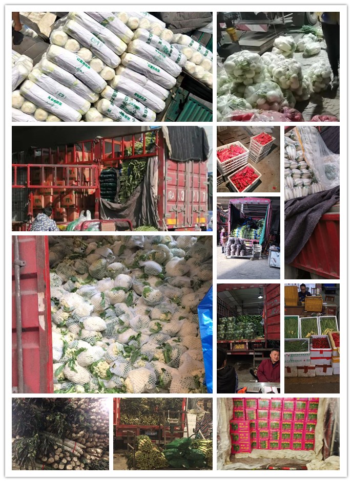 w66.利来(中国区)_来利国际旗舰厅