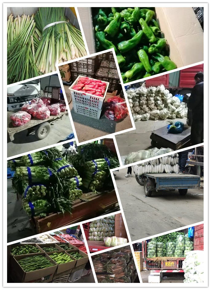 w66.利来(中国区)_来利国际旗舰厅