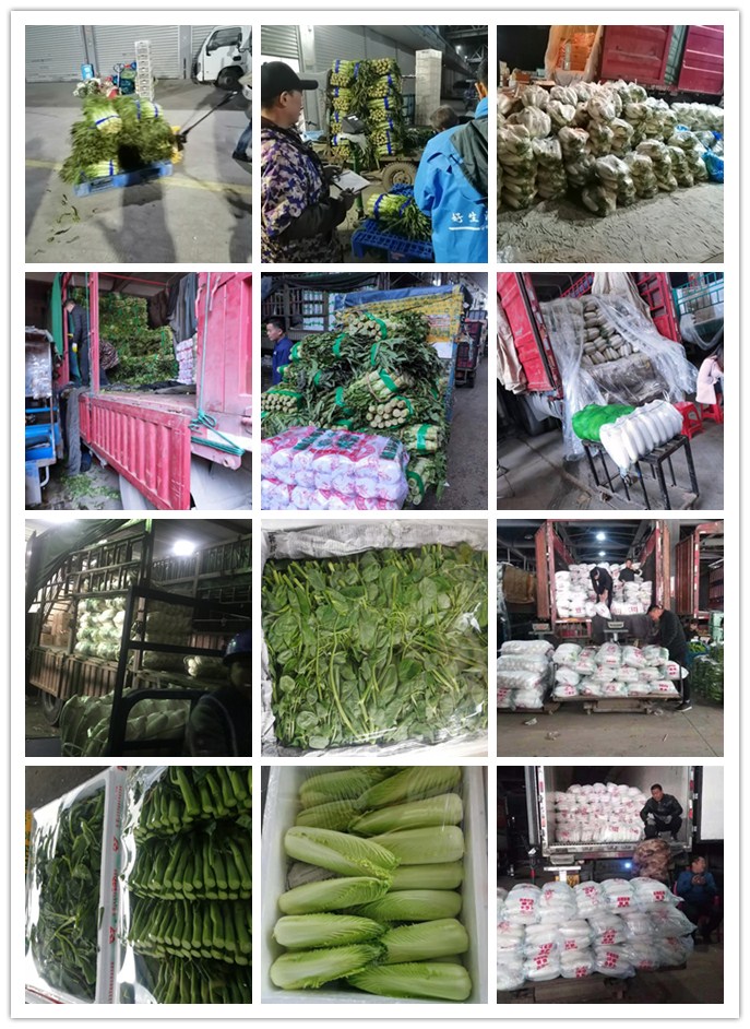 w66.利来(中国区)_来利国际旗舰厅