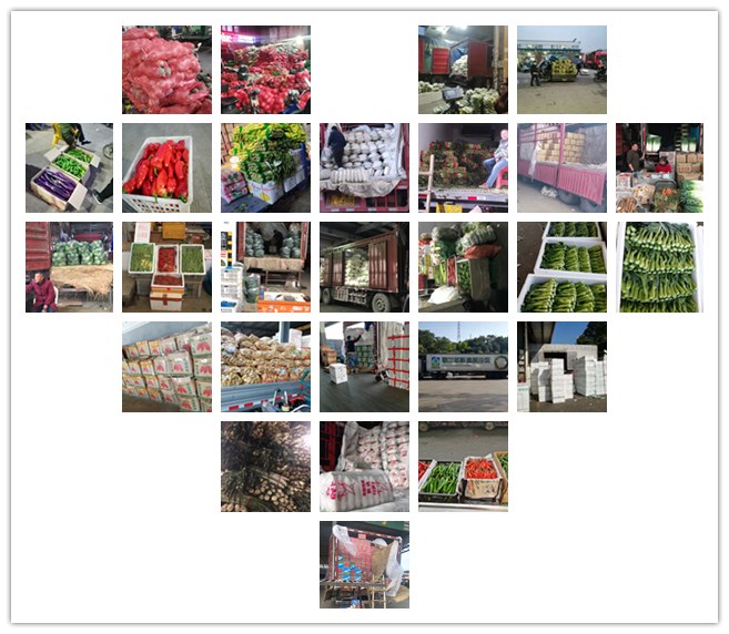 w66.利来(中国区)_来利国际旗舰厅