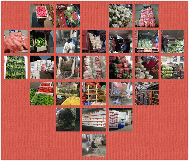 w66.利来(中国区)_来利国际旗舰厅