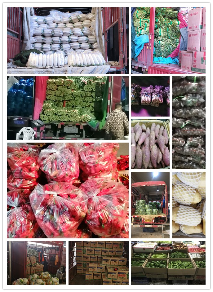 w66.利来(中国区)_来利国际旗舰厅