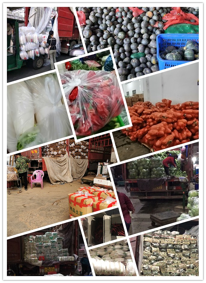 w66.利来(中国区)_来利国际旗舰厅