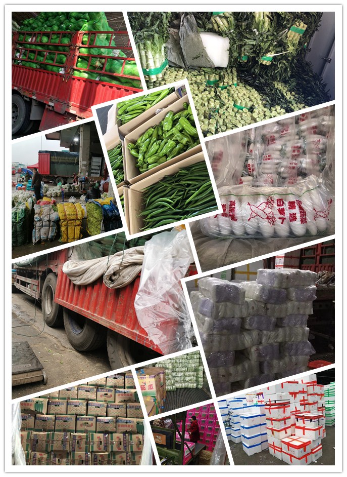 w66.利来(中国区)_来利国际旗舰厅