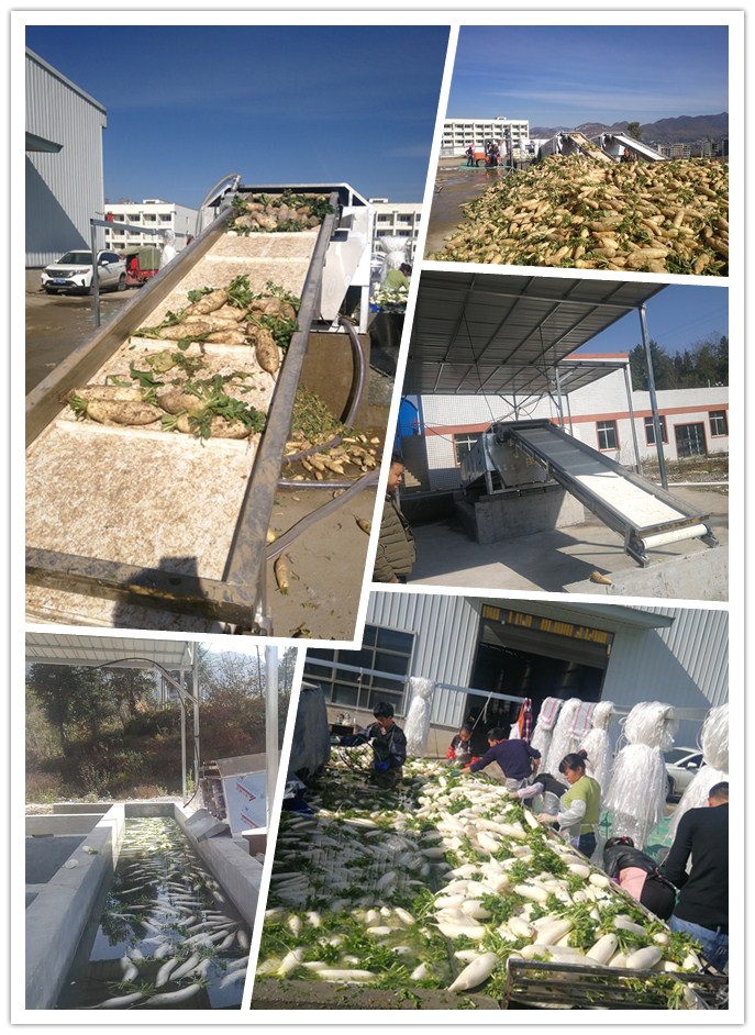 w66.利来(中国区)_来利国际旗舰厅