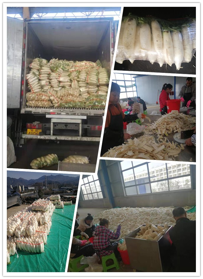 w66.利来(中国区)_来利国际旗舰厅