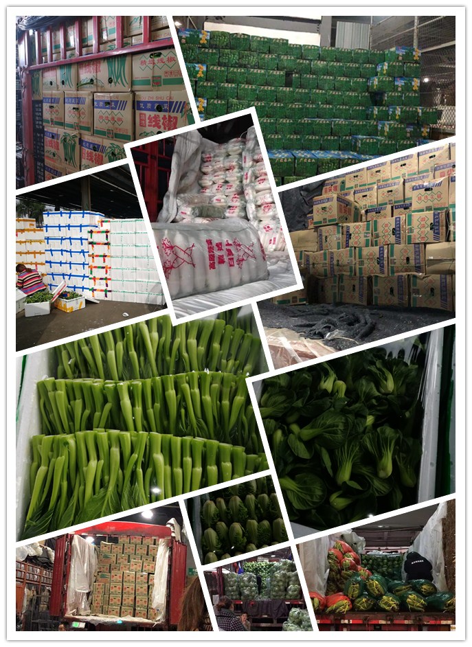 w66.利来(中国区)_来利国际旗舰厅