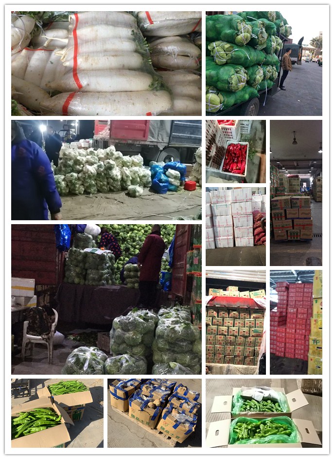 w66.利来(中国区)_来利国际旗舰厅