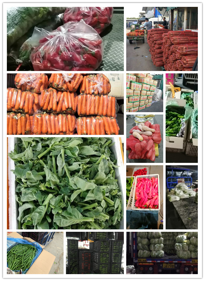 w66.利来(中国区)_来利国际旗舰厅