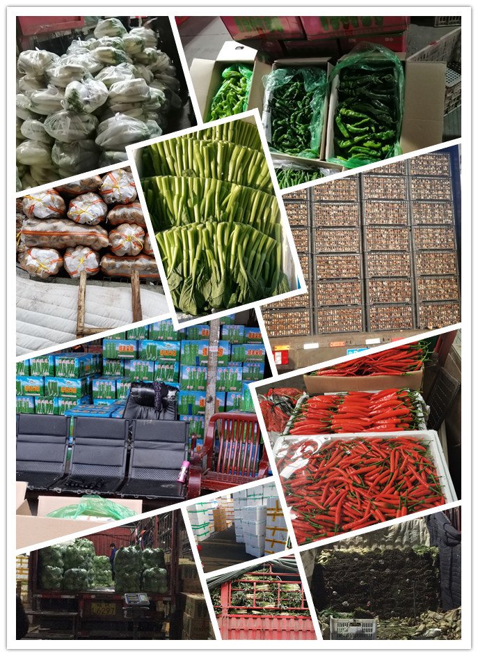 w66.利来(中国区)_来利国际旗舰厅