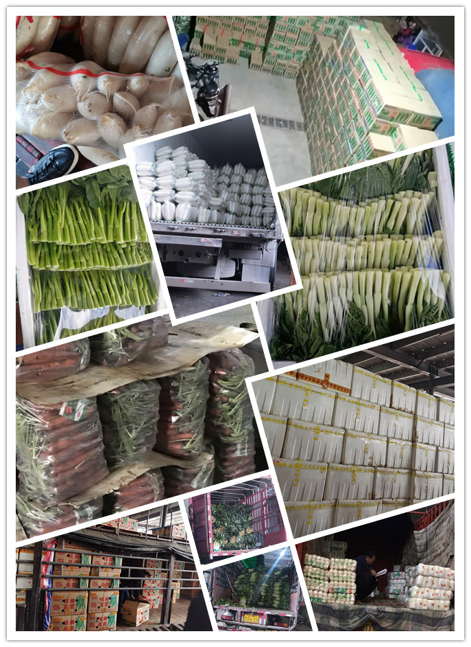 w66.利来(中国区)_来利国际旗舰厅