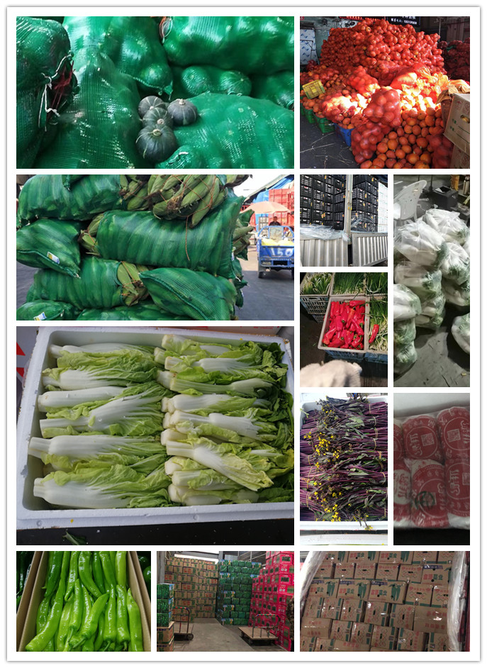 w66.利来(中国区)_来利国际旗舰厅