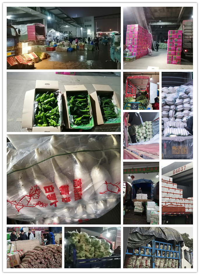 w66.利来(中国区)_来利国际旗舰厅