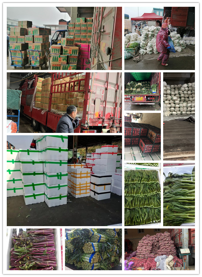 w66.利来(中国区)_来利国际旗舰厅