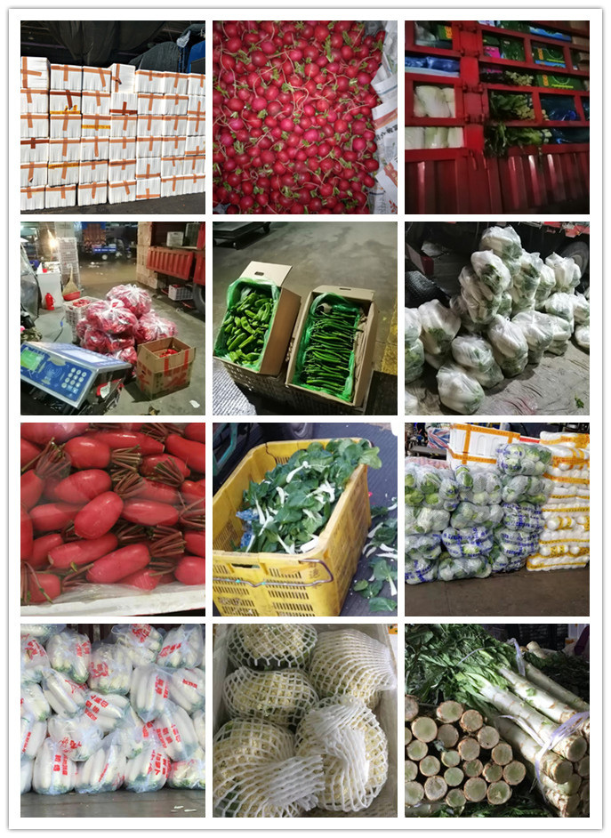 w66.利来(中国区)_来利国际旗舰厅