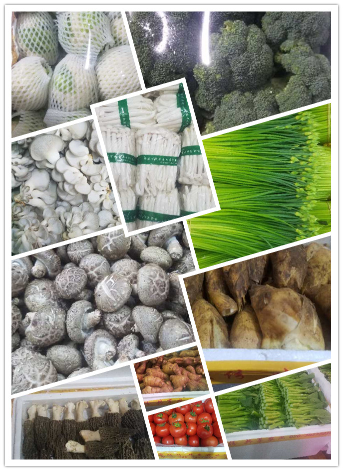 w66.利来(中国区)_来利国际旗舰厅