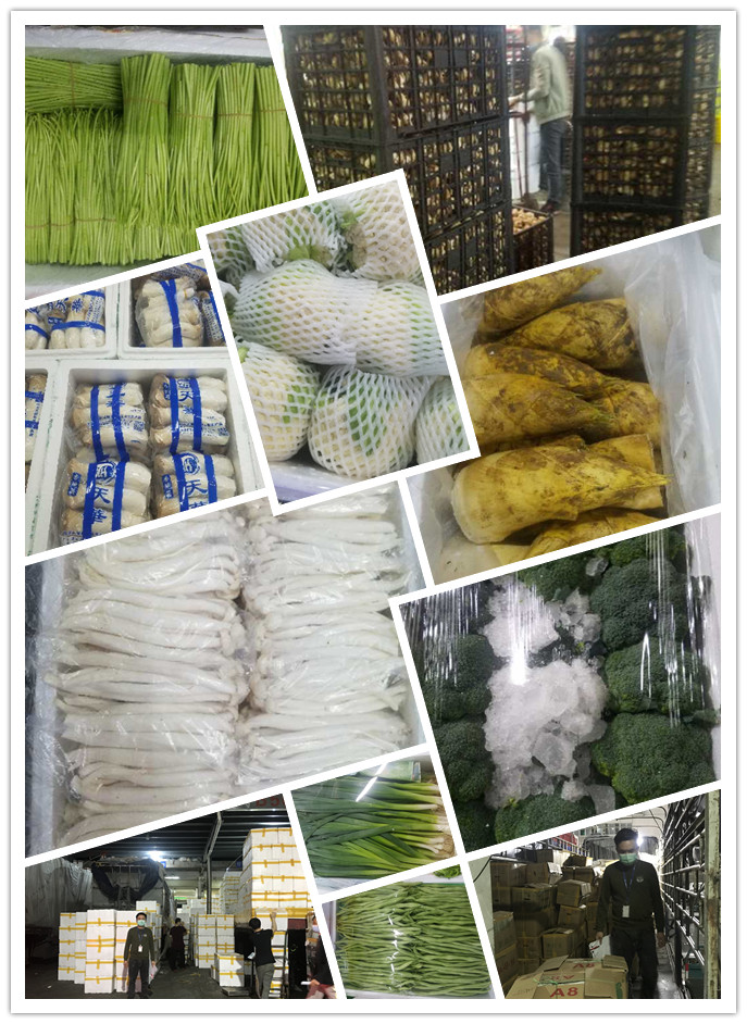 w66.利来(中国区)_来利国际旗舰厅