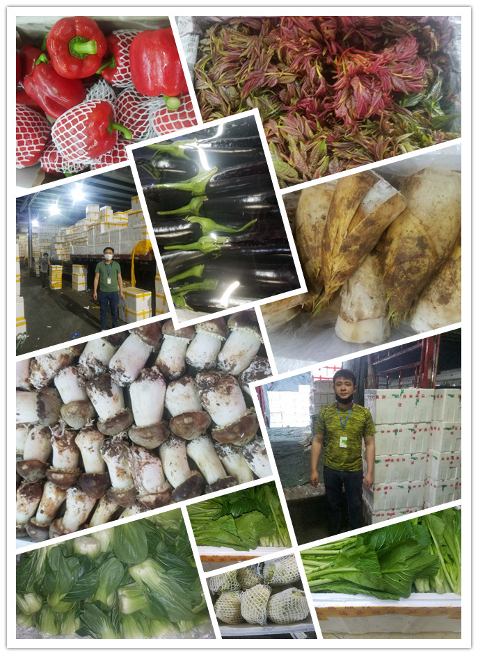 w66.利来(中国区)_来利国际旗舰厅