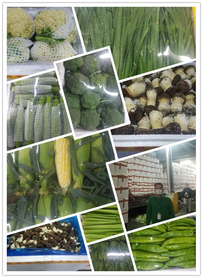 w66.利来(中国区)_来利国际旗舰厅