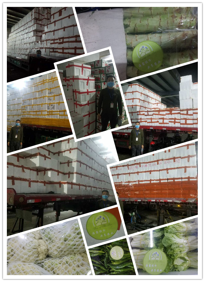 w66.利来(中国区)_来利国际旗舰厅