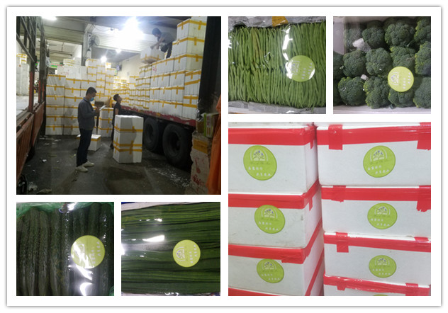 w66.利来(中国区)_来利国际旗舰厅