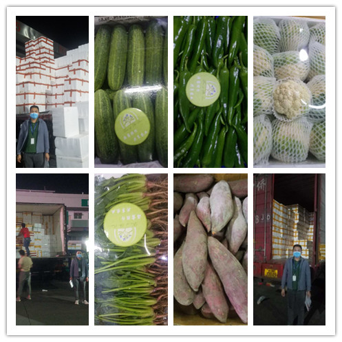 w66.利来(中国区)_来利国际旗舰厅