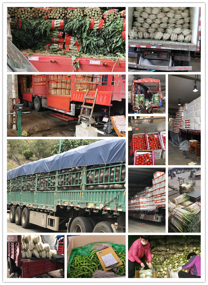 w66.利来(中国区)_来利国际旗舰厅