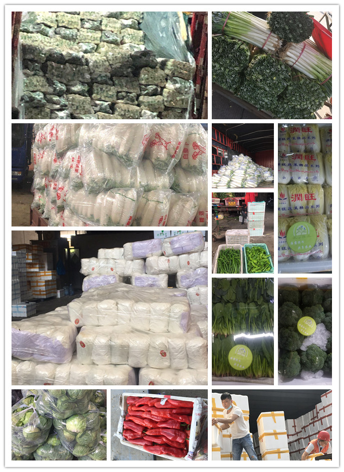 w66.利来(中国区)_来利国际旗舰厅