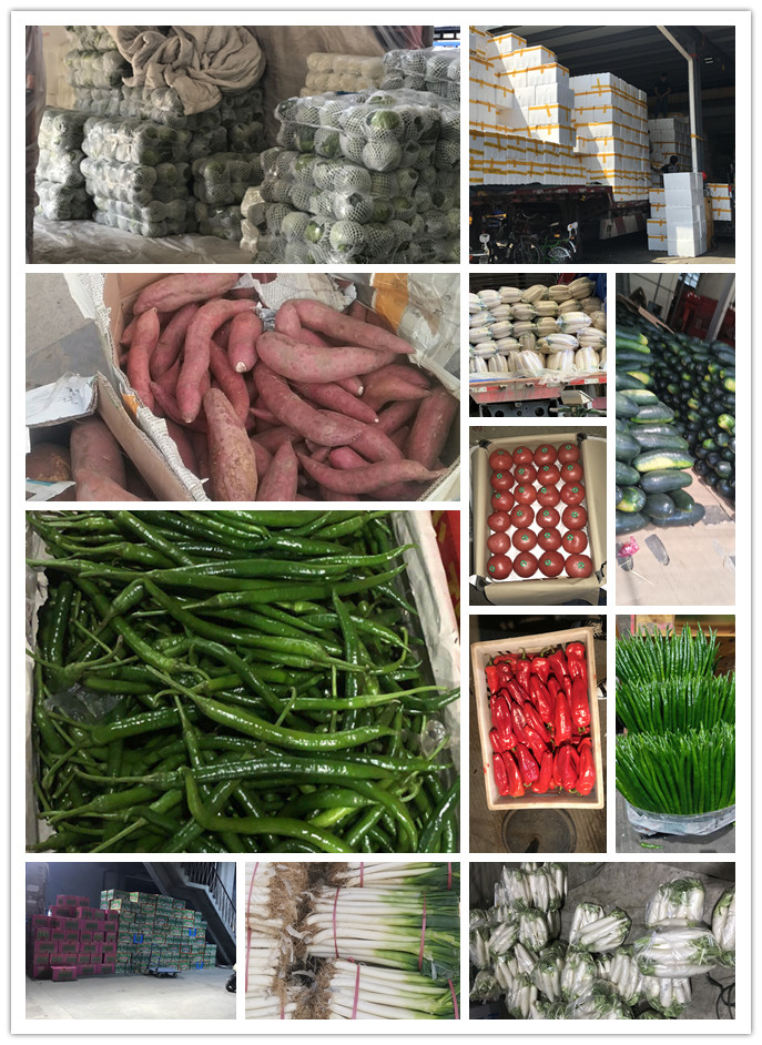 w66.利来(中国区)_来利国际旗舰厅