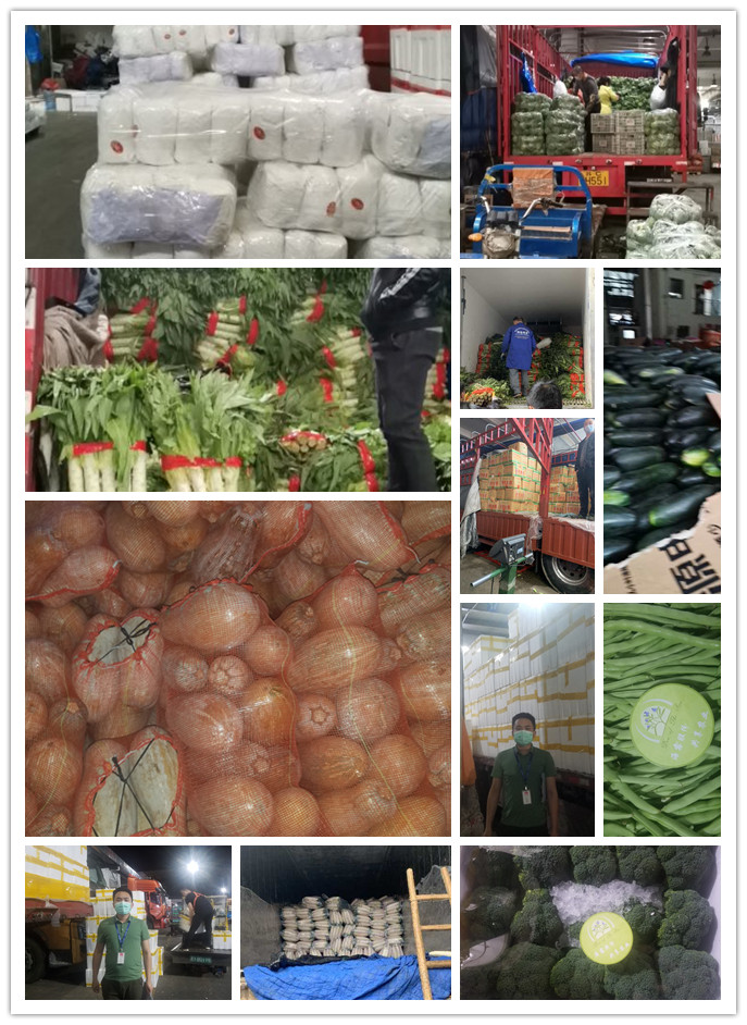 w66.利来(中国区)_来利国际旗舰厅