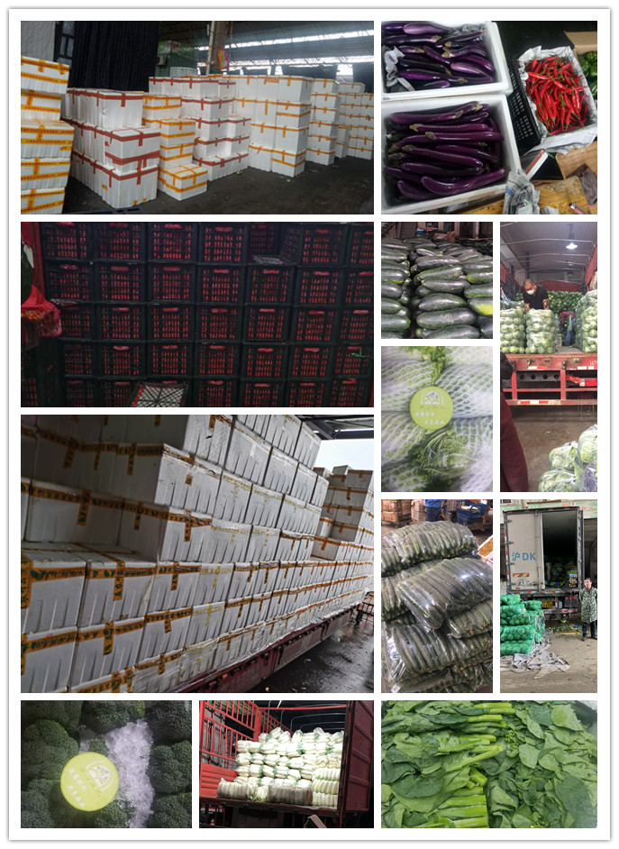 w66.利来(中国区)_来利国际旗舰厅