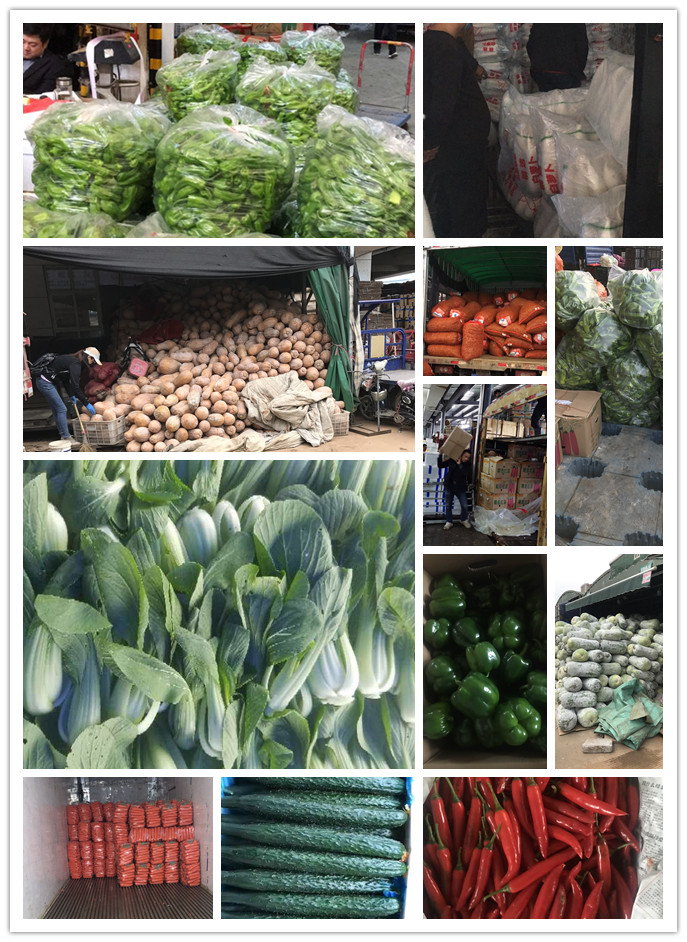 w66.利来(中国区)_来利国际旗舰厅