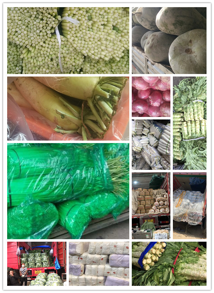 w66.利来(中国区)_来利国际旗舰厅