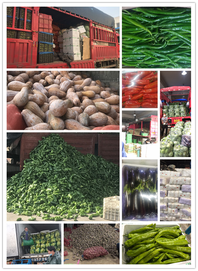 w66.利来(中国区)_来利国际旗舰厅