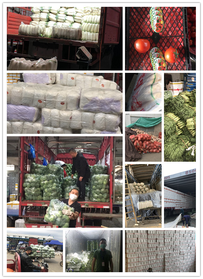 w66.利来(中国区)_来利国际旗舰厅