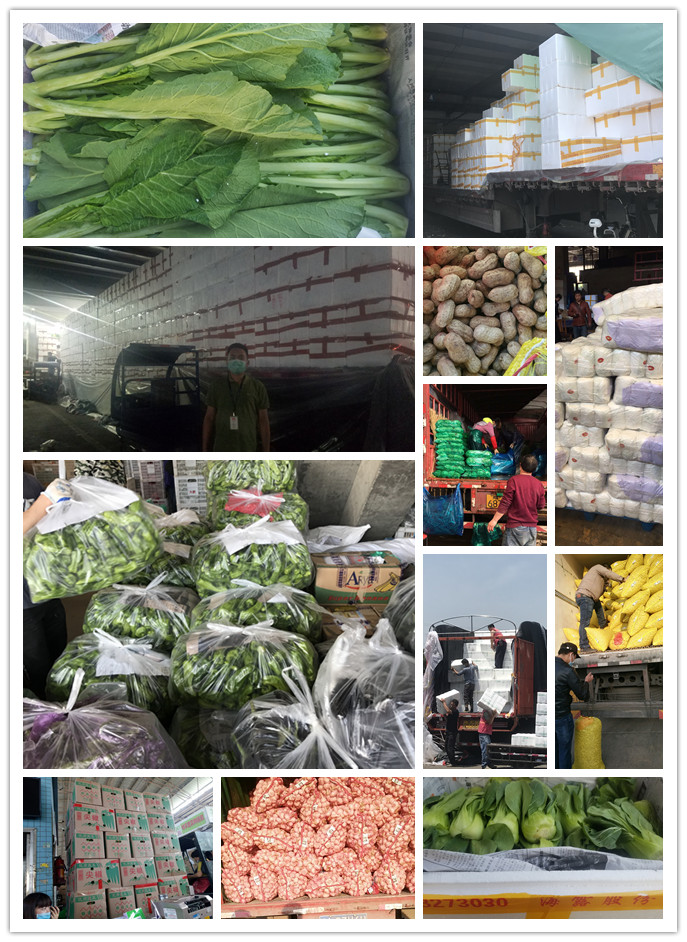 w66.利来(中国区)_来利国际旗舰厅