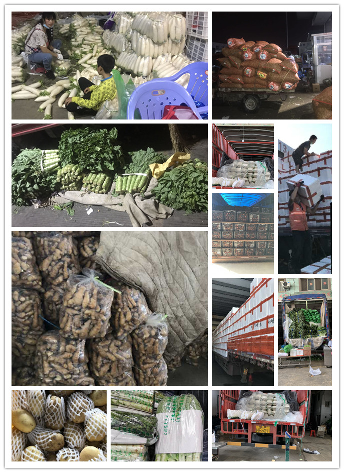 w66.利来(中国区)_来利国际旗舰厅