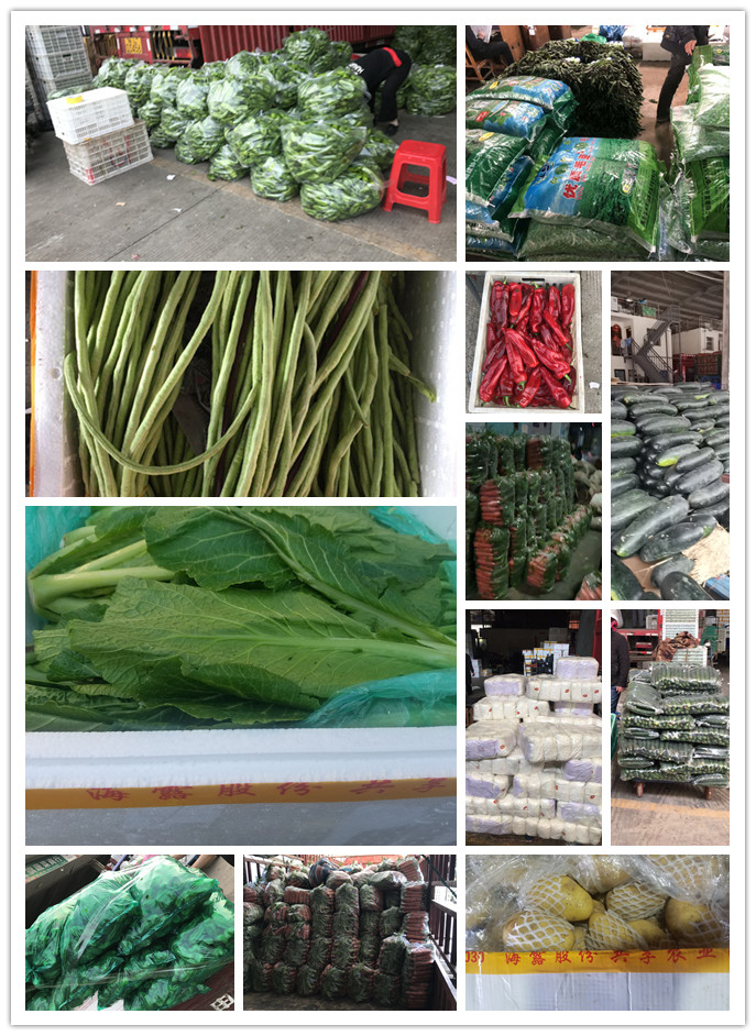 w66.利来(中国区)_来利国际旗舰厅