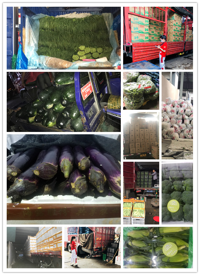 w66.利来(中国区)_来利国际旗舰厅