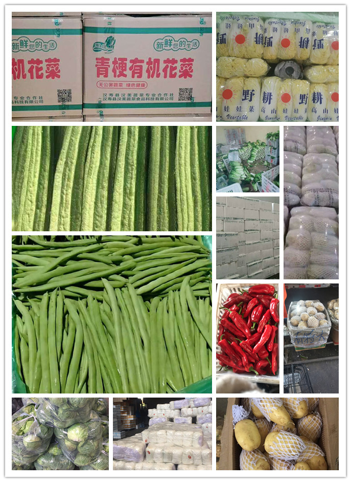 w66.利来(中国区)_来利国际旗舰厅