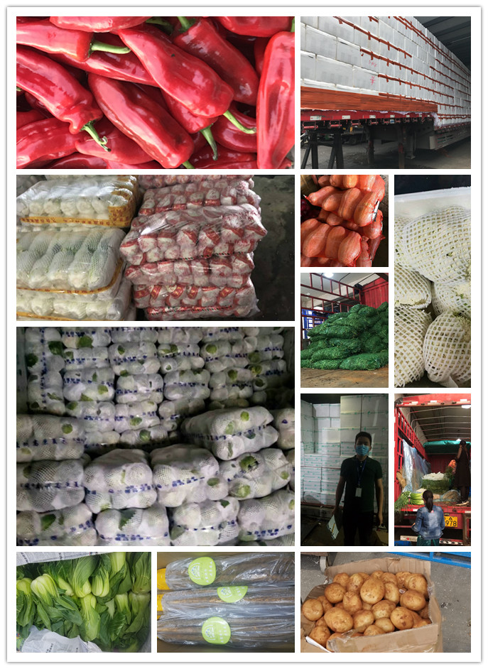 w66.利来(中国区)_来利国际旗舰厅