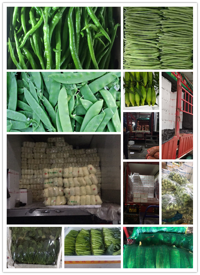 w66.利来(中国区)_来利国际旗舰厅