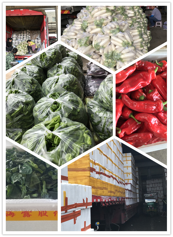 w66.利来(中国区)_来利国际旗舰厅