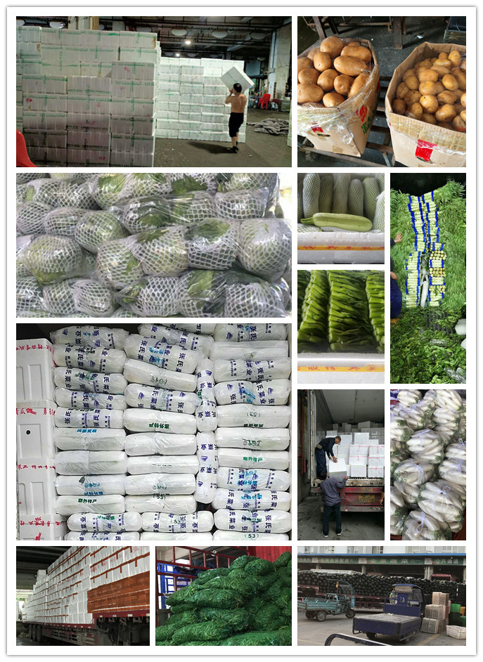 w66.利来(中国区)_来利国际旗舰厅