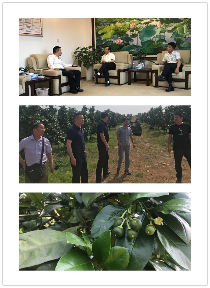 w66.利来(中国区)_来利国际旗舰厅