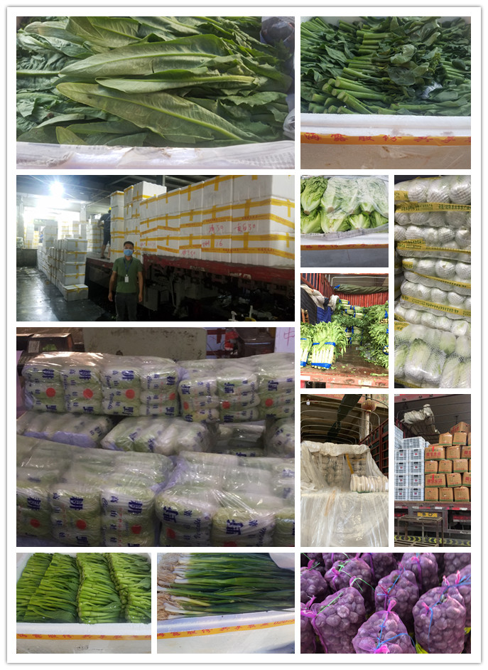 w66.利来(中国区)_来利国际旗舰厅