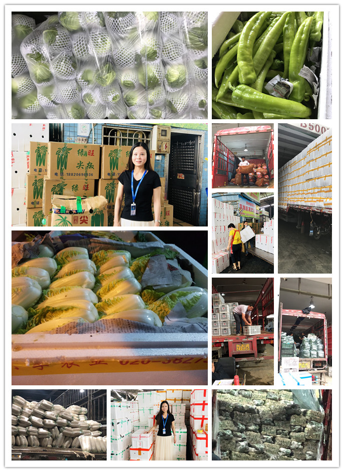 w66.利来(中国区)_来利国际旗舰厅